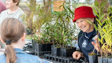 Hawkesbury City Council's Sustainable Events Management Policy