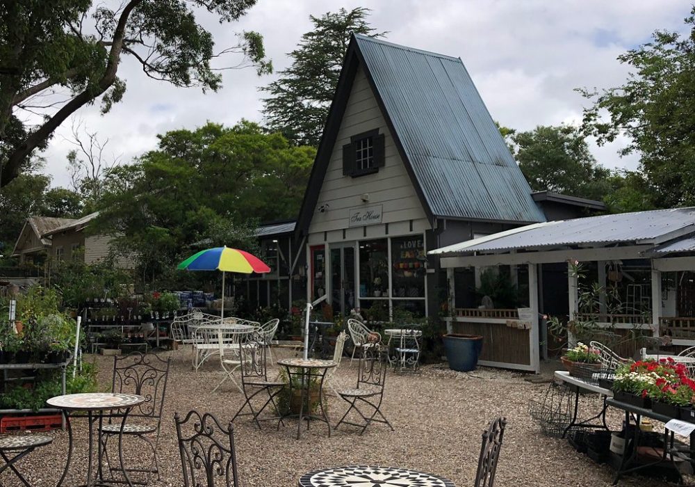 The House of Herbs and Roses