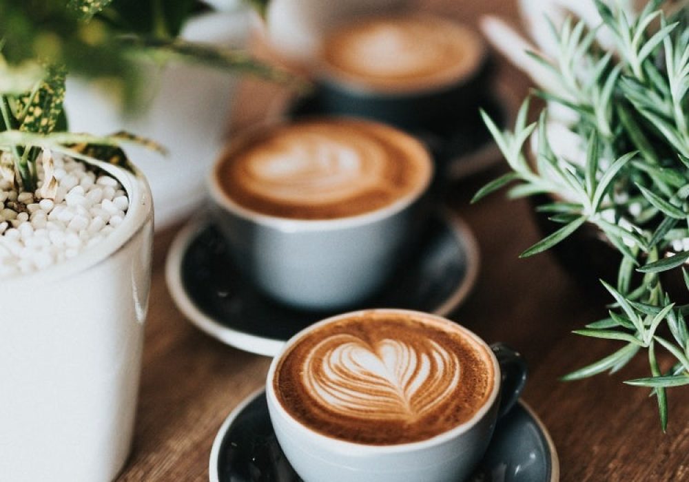 Three_cups_of_cappucino_surrounded_by_plants